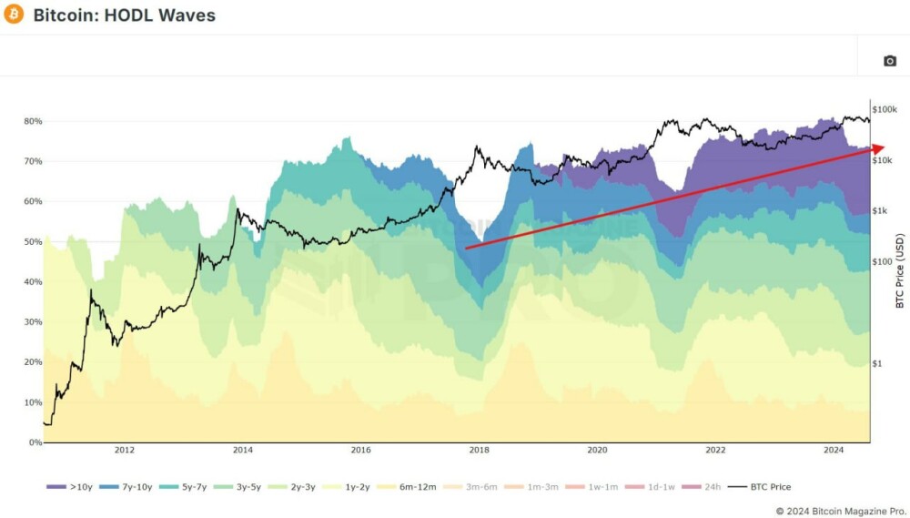 График HODL Waves